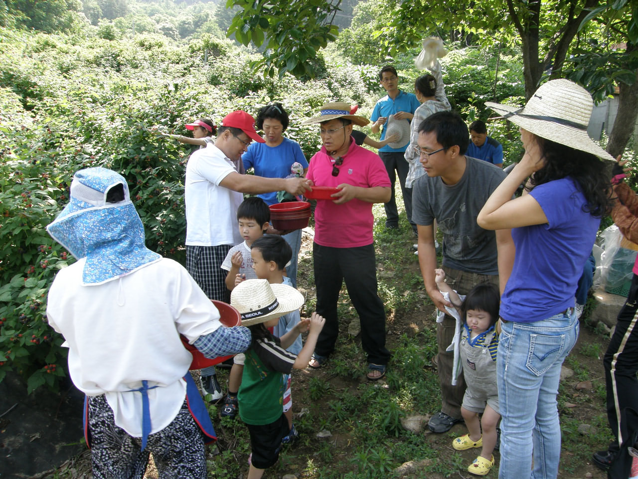 제3남선교회 농촌체험봉사활동 사진소개